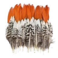 natural rare lady amherst pheasant feathers for crafts 5 30cm2 12 feather jewelry handicrafts creation making carnaval plumas