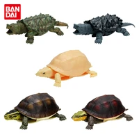 bandai genuine gashapon capsule toys simulation turtle snapping turtle twisted egg series 04 snake eating turtle