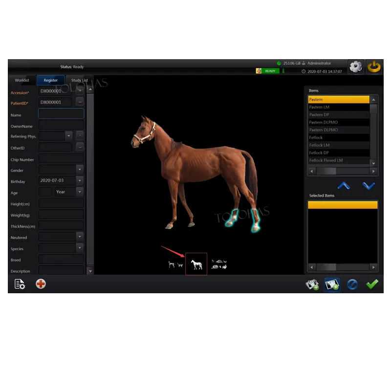 LHWRV80B Ветеринарная цифровая радиологическая система изображений ферма лошадь