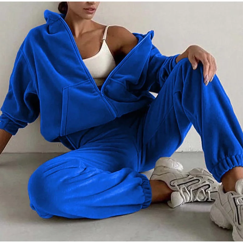 

Women Autumn Winter Fashion Hooded Zipper Outerwear And Harem Pant Suit Female Casual Tracksuit Two Piece Sets