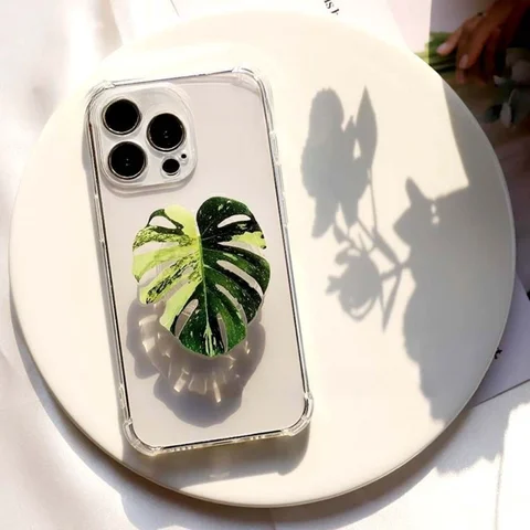 Растительная розетка, складная ручка для телефона, акриловый держатель для телефона Tok Leaf для iPhone, универсальный кронштейн для смартфона Griptok, подставка для пальцев