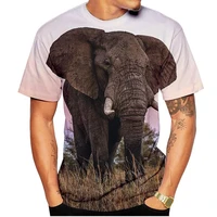 new summer funny animal elephant 3d printed t shirt men ladies kids casual short sleeve breathable lightweight sports top