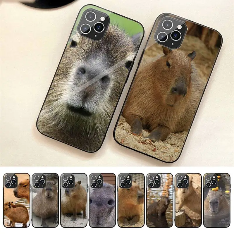 

Animal Funny Capybara Bling Phone Case For Iphone 7 8 Plus X Xr Xs 11 12 13 14 Se2020 Mini Promax Tempered Glass Fundas