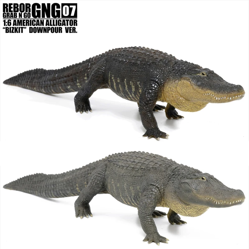 

In Stock REBOR GNG American Alligator Model Modern Reptiles Animal Model Alligator Mississippiensis Crocodile 1:6 62cm