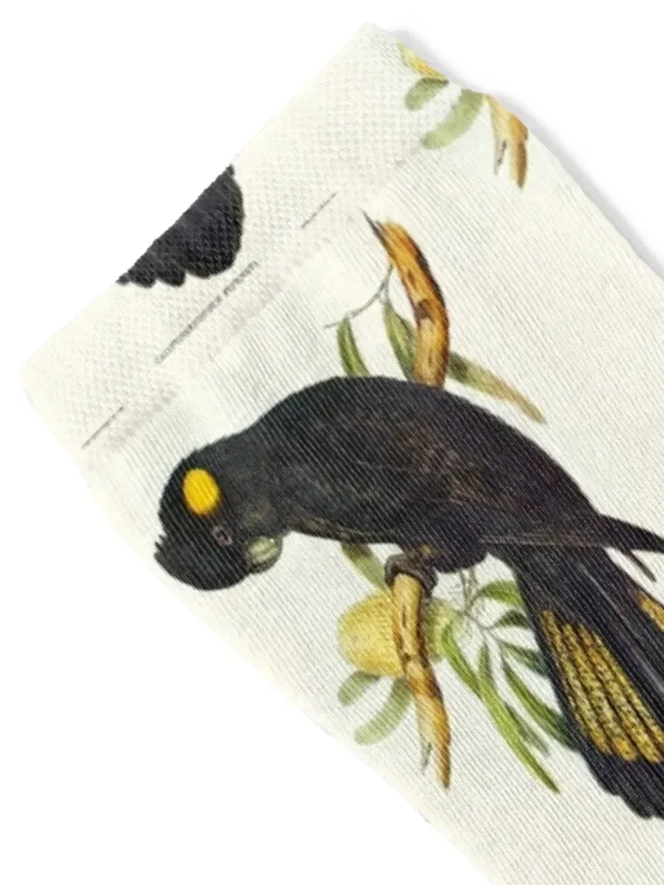 Носки Black Cockatoo рождественские подарки движущиеся чулки женские носки мужские