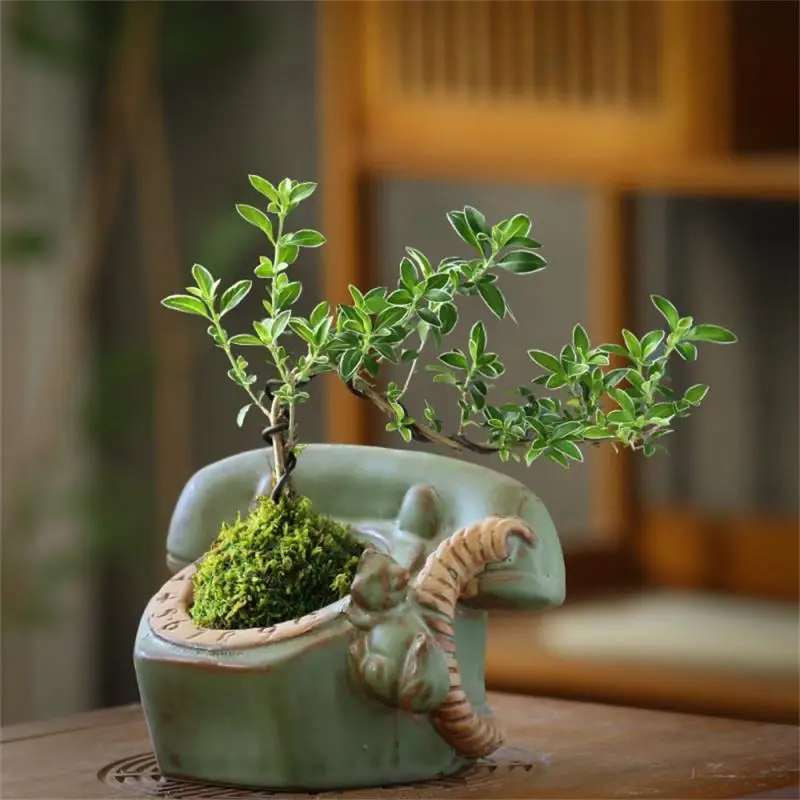 

Drainage Flowerpot Resist Ageing Ventilate Potting Box Ceramics Nordic Style Potting Flowers Secure Rose Pot Imitate Plant Basin
