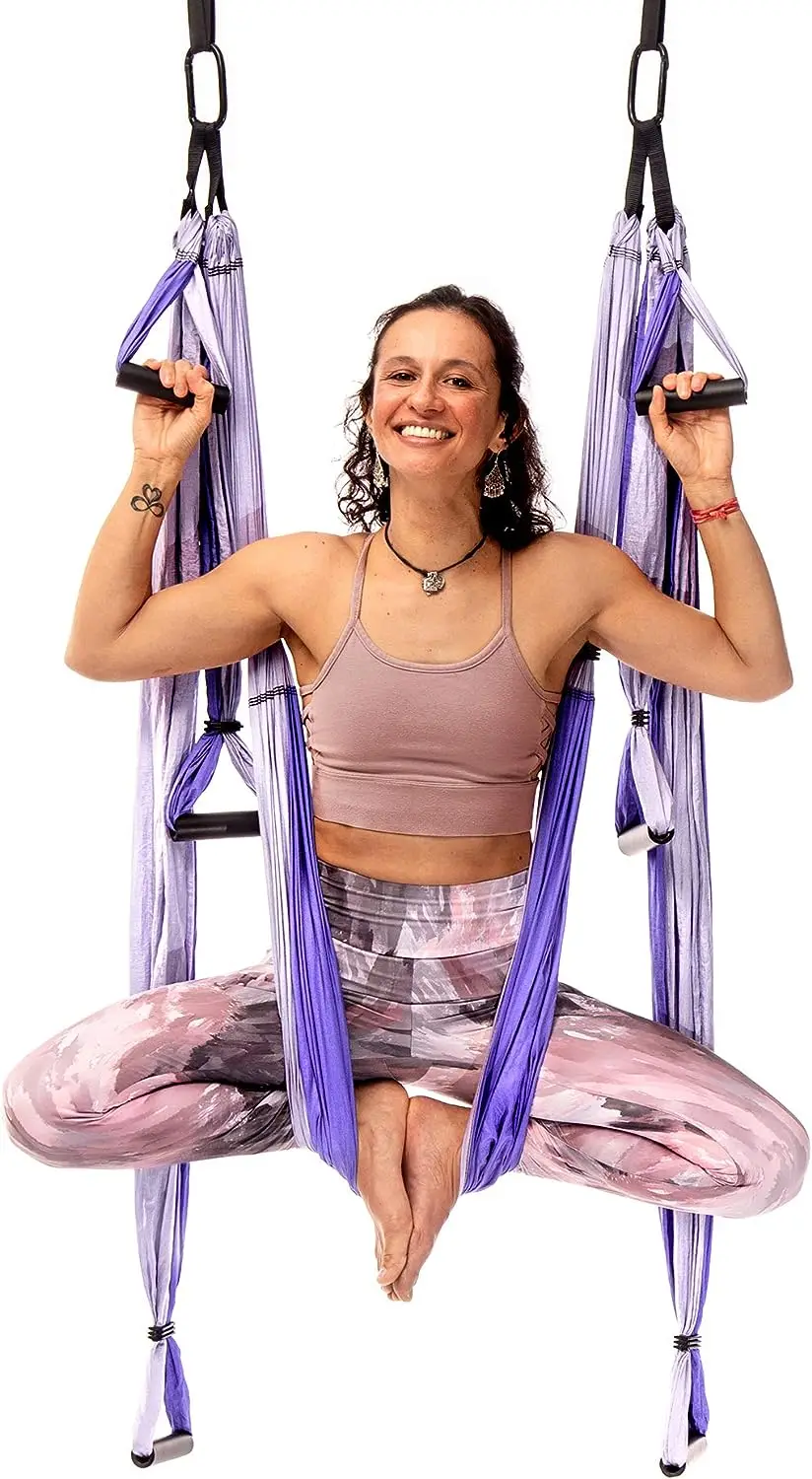 

Trapeze Pro \u2013 Yoga Inversion Swing with Free Video Series and Pose Chart, Purple