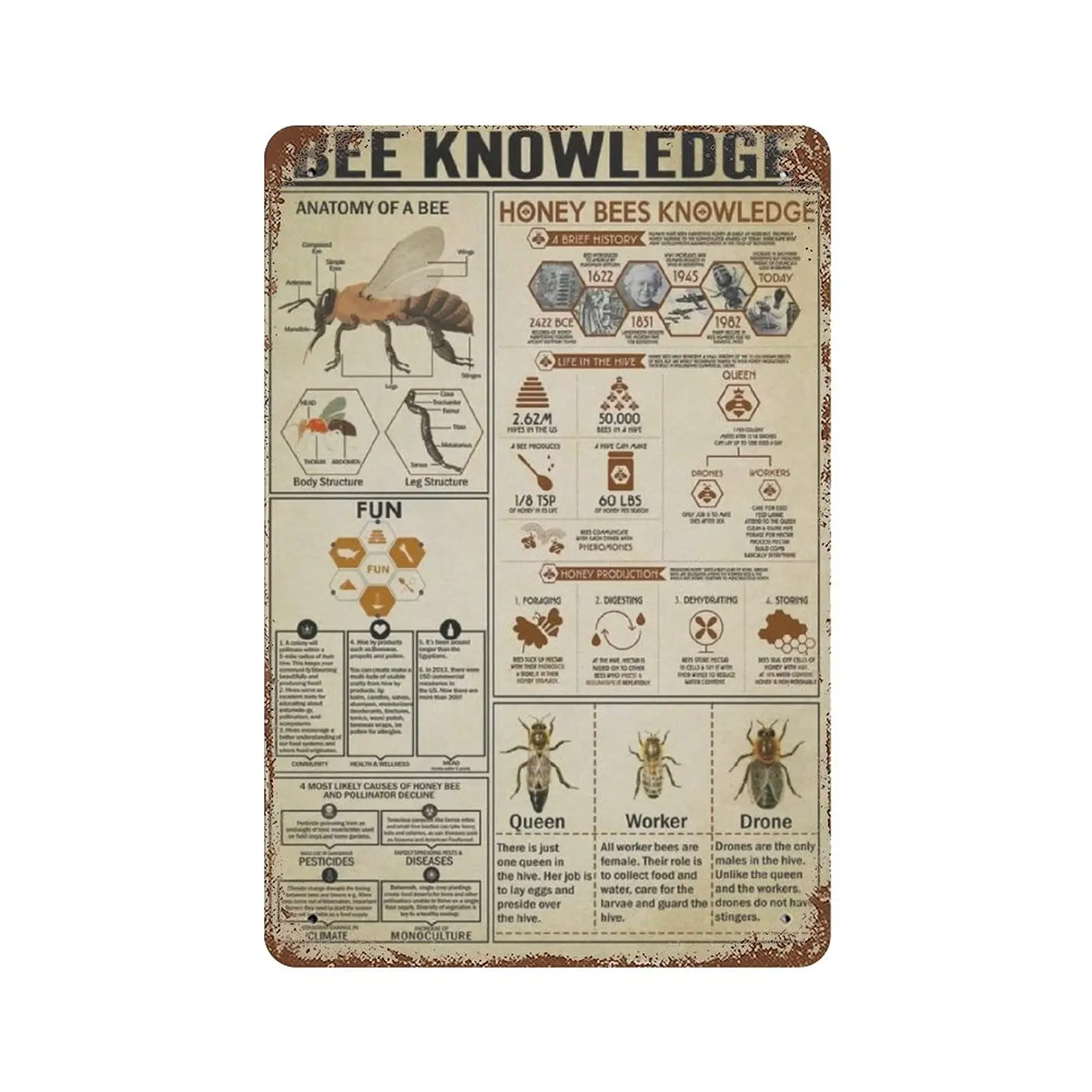 

Винтажный металлический фон, знания о пчелах-Анатомия стены в виде пчелы, мужская пещера, паб, клуб, кафе, домашнее украшение