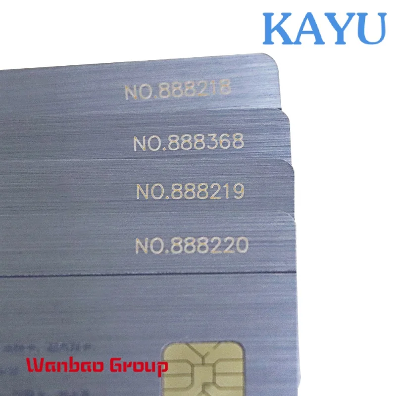 Custom OEM Hot Selling Matte Blank PVC Card Gold Metal Visa Credit Cards With Magnetic Stripe