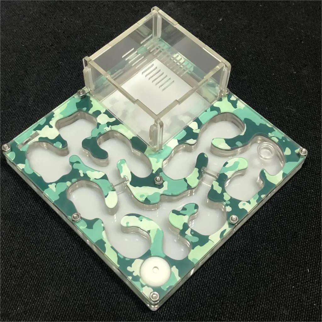 Камуфляжная семья для пчеловодства большой муравьиный гнездо муравьиная ферма