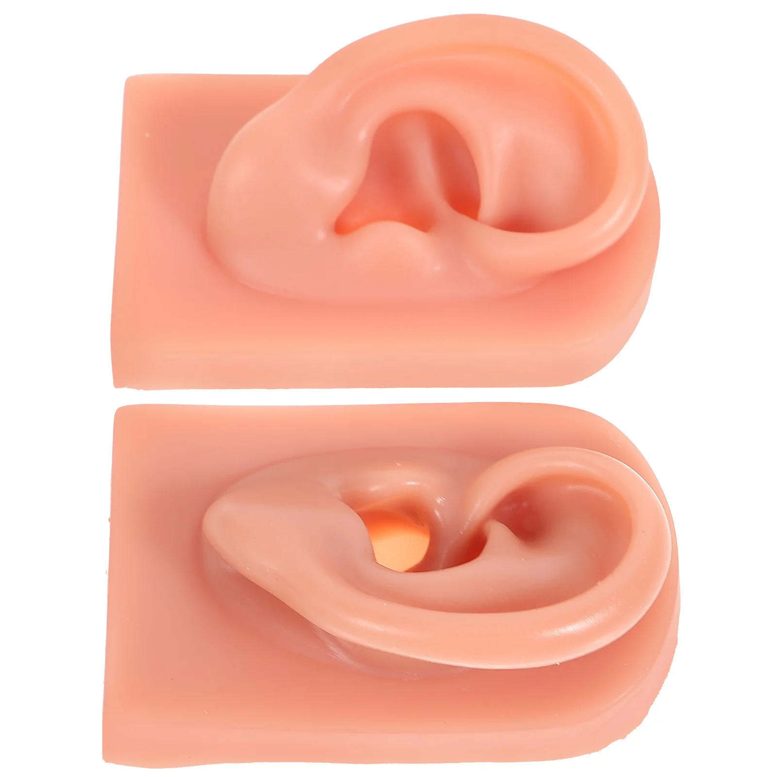 

2pcs Ear Models Silicone Ear Models Artificial Ear Model Teaching Model
