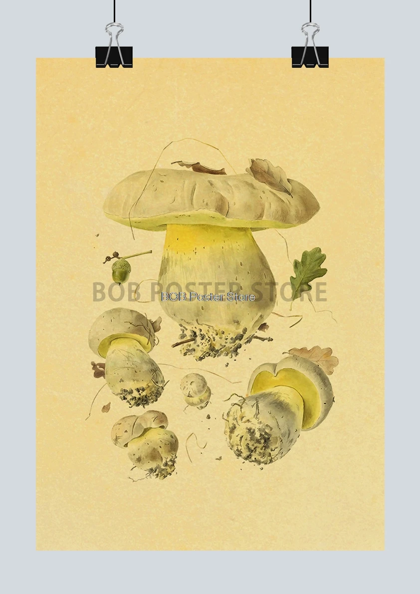 

Набор наклеек на стену "Различные образцы грибов", Lanxihaibao