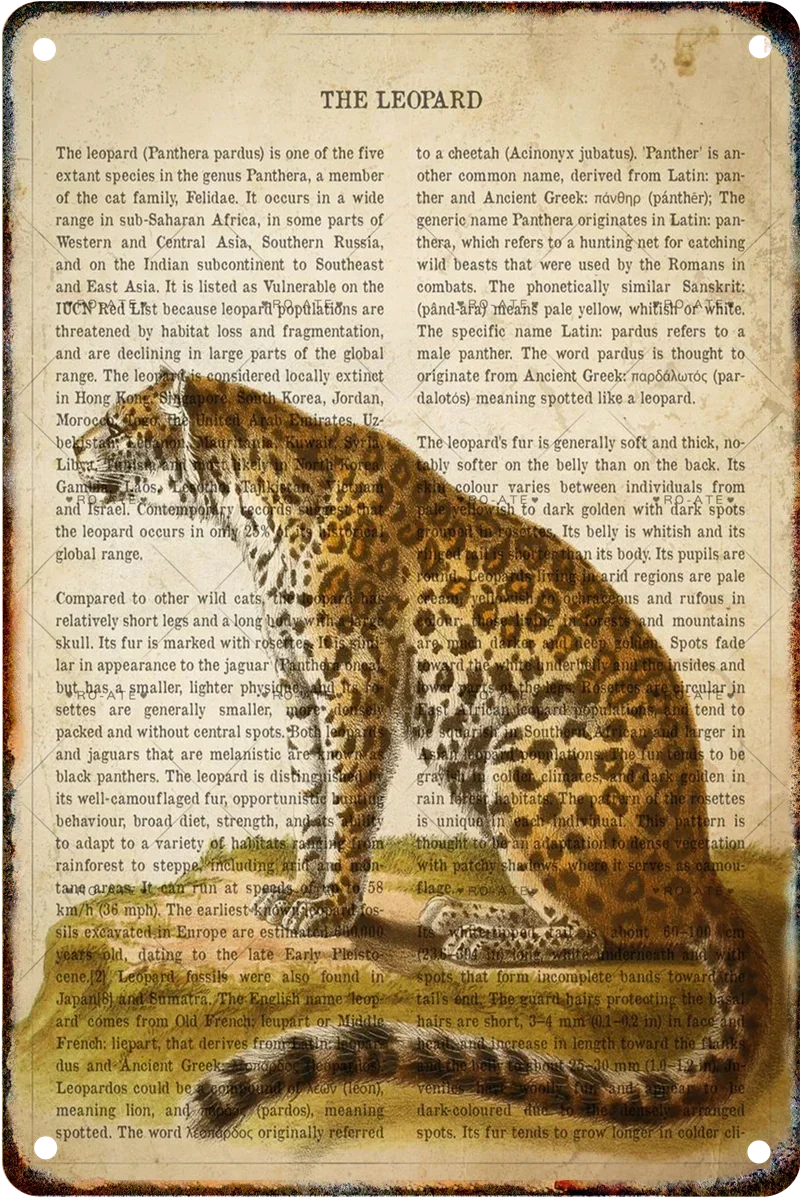 Металлический знак Ретро Дикая природа Белый медведь Кенгуру Деревенские