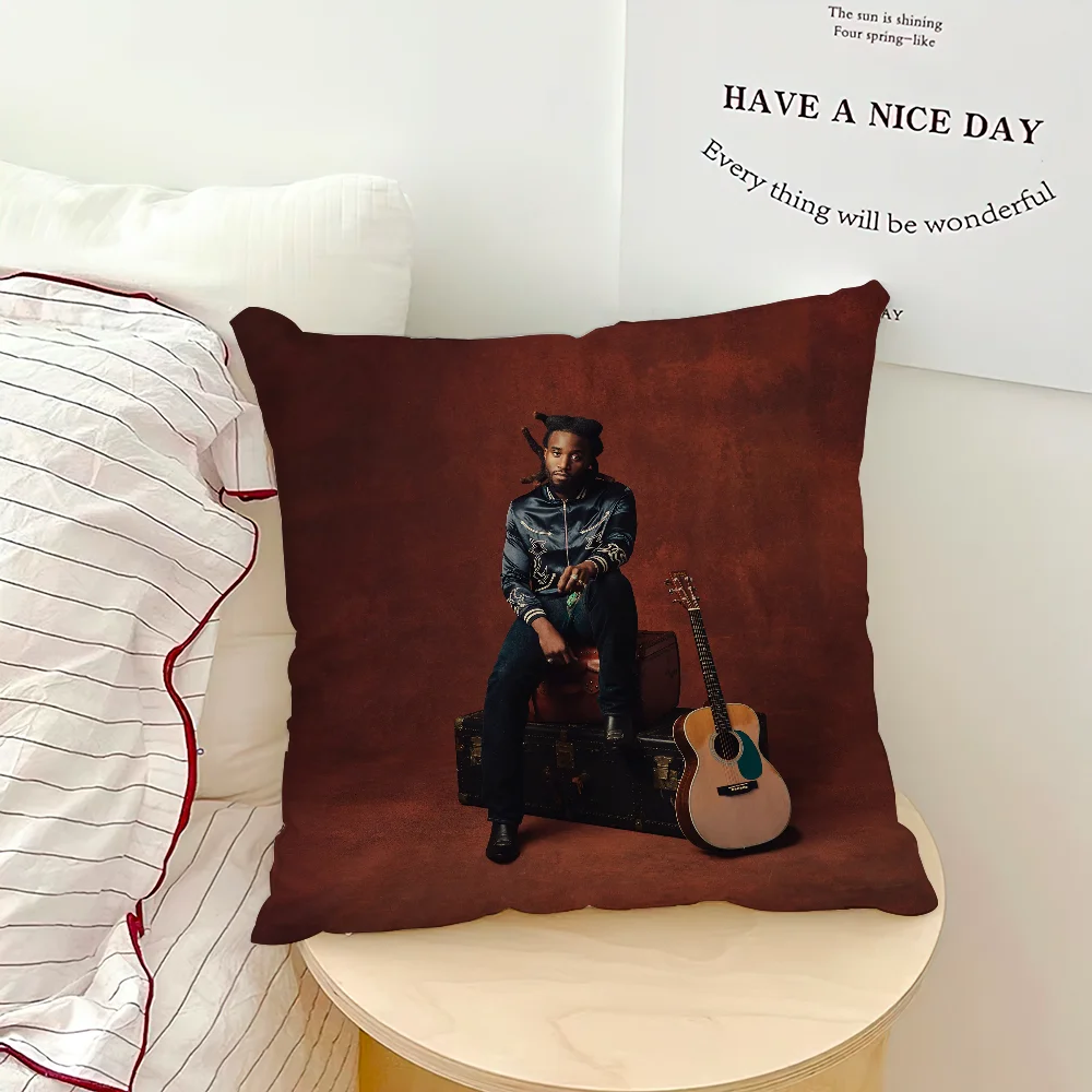 Singer S-ShaboozeyS удобная декоративная наволочка подходящая для украшения дома