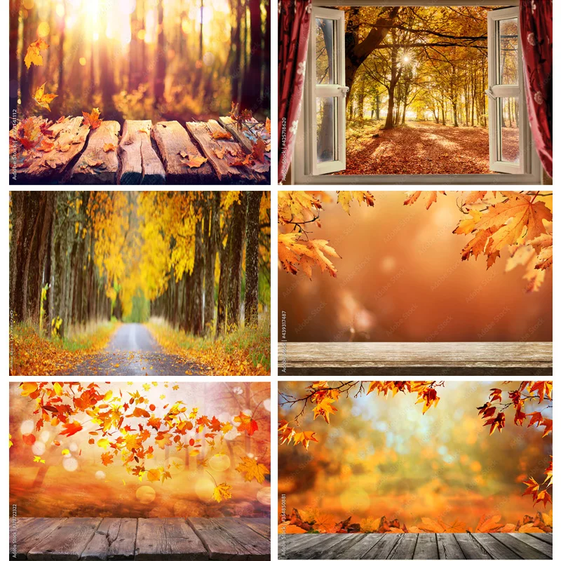 

Natural Scenery Photography Background Fall Leaves Forest Landscape Travel Photo Backdrops Studio Props 211224 QQTT-07