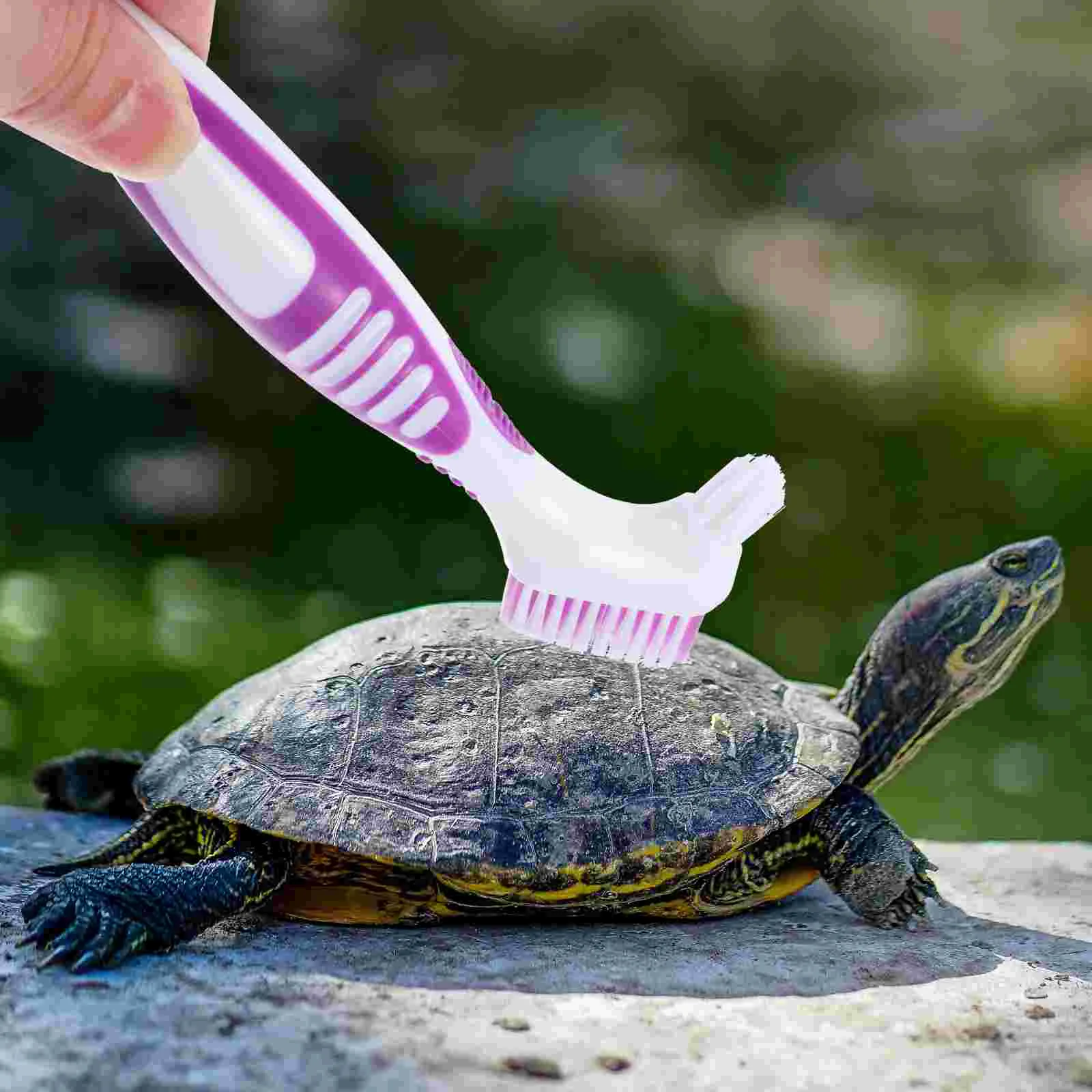 

Turtle Shell Cleaning Brush Aquatic Tortoise Shell Cleaning Brush Turtle Shell Mud Dirt Remover Brush