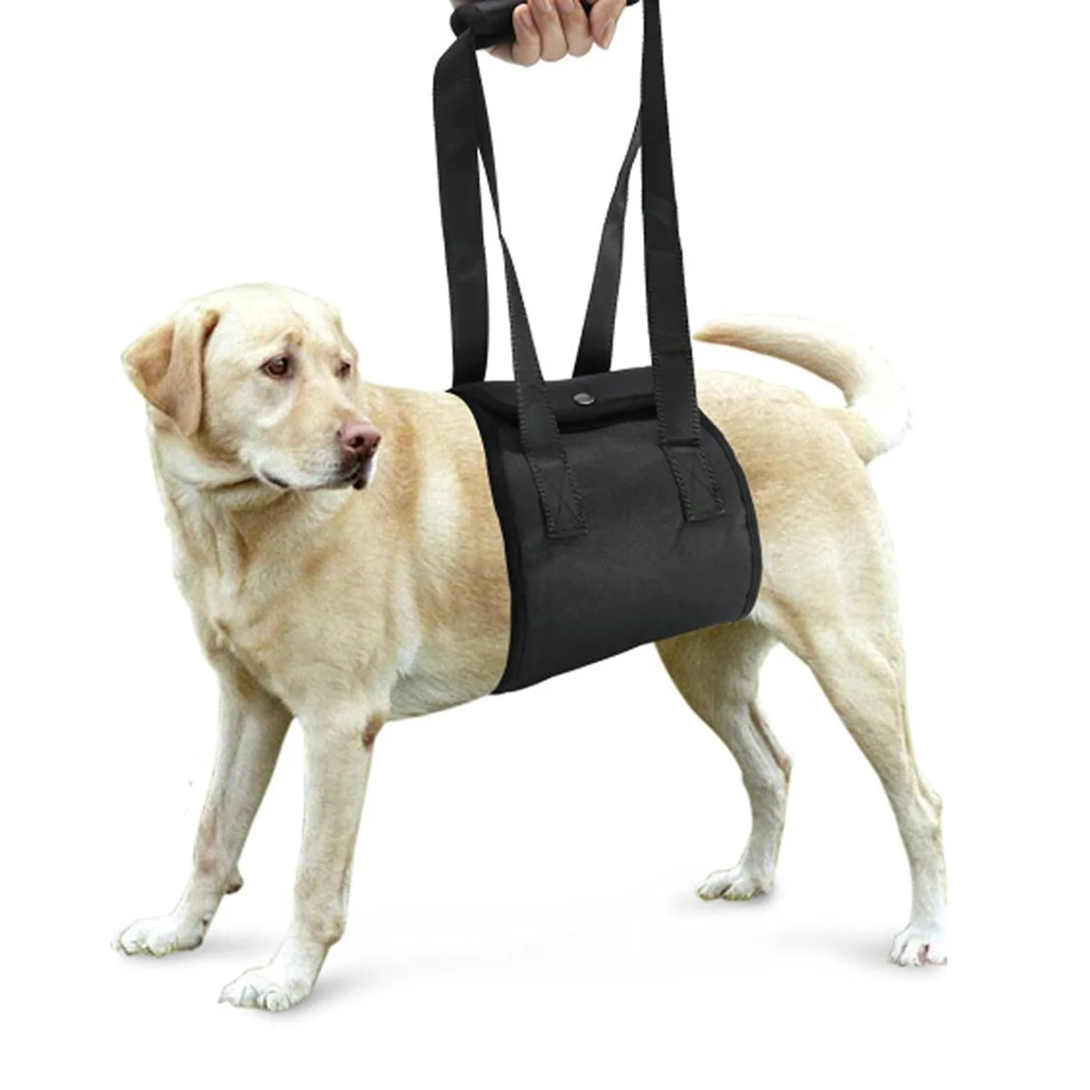 

Dog Harness Support Lift Legs Large Vest Hind Sling Leg Rehabilitation Lifting Dogs Wheelchair Backpack Assist Emotional