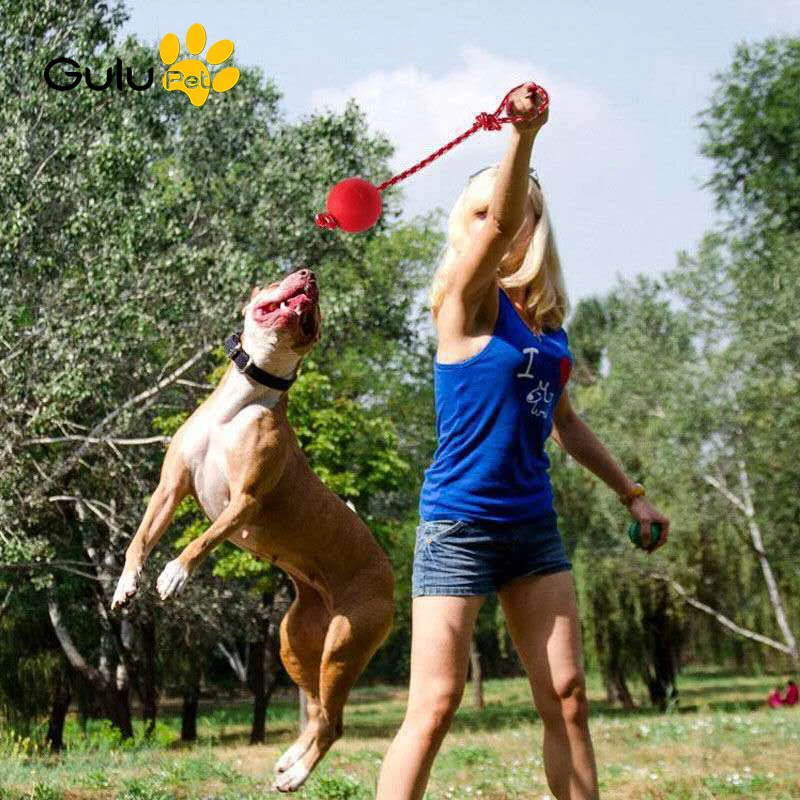 

Жевательные игрушки для питомцев мяч для собак, устойчивый к укусам, неразрушаемый мяч для щенков, тренировочные игрушки, твердые резиновые...