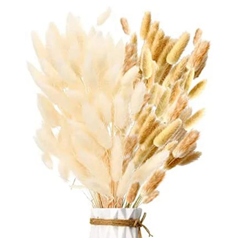 

Pampas Grass Dried Pampas Grass Fluffy Fronds Flowers Bouquet Flower Decoration For Flower Arrangements Home Decor