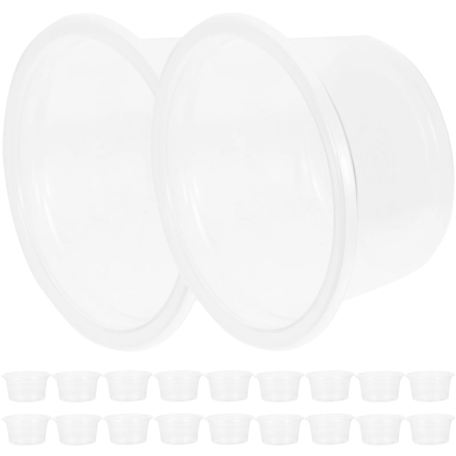 

Reptile Dish Bowl Watercup Feeder Gecko Cups Transparentwear Household Resistant Small Accessory Reusable Use Daily Convenient