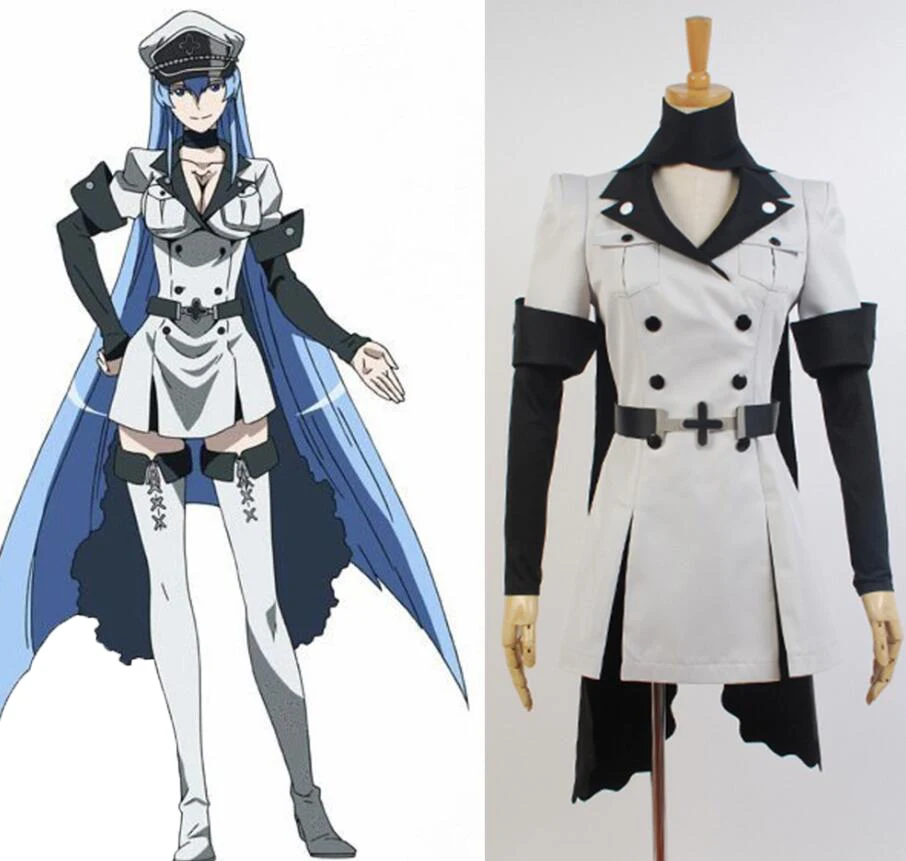 New Akame Ga Kiru Kill ! cosplay NIGHT RAID hero Esdeath Cosplay Costume Dress Belt Gloves Hat Scarf Womens Suit Uniform  Set