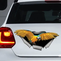 macaw car decal yellow and blue macaw sticker macaw magnet ara decal parrot magnet