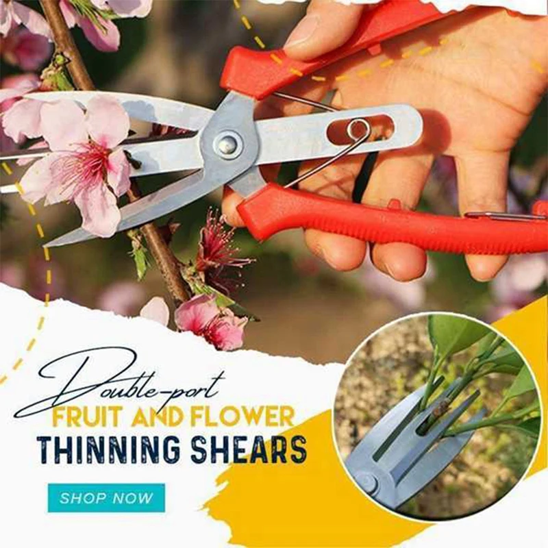2 шт. многофункциональные ножницы для филировки фруктовых деревьев | Инструменты