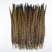 10pcslot natural ringneck pheasant tail feathers for crafts 15 65cm6 26 pheasant feather decor plumas carnaval hair feathers
