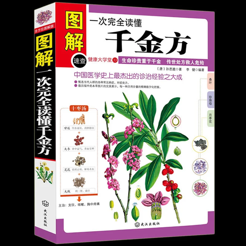 Схема традиционной китайской медицины Qianjinfang