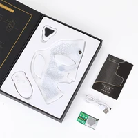 electronic beauty instrument moisturizing induction treatment instrument facial micro current facial mask beauty instrument