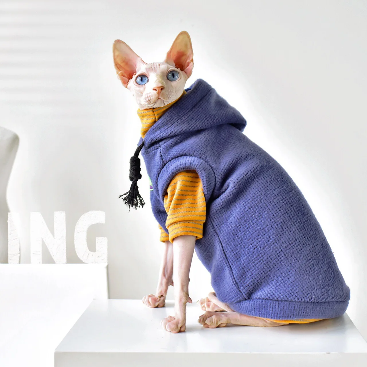 

Hairless Cat Clothes Cat T-Shirt with Sleeveless for Cat Puppy Fashion Spring Autumn Cotton Designer Kitty Sphynx Hoodie Apparel