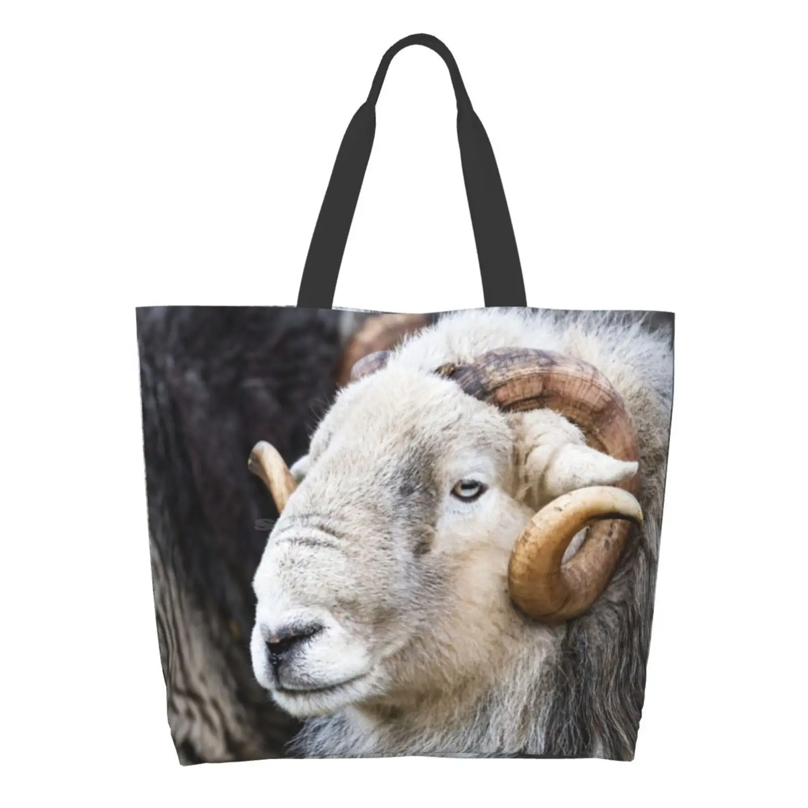 

Herdwick Sheep - Ram. Reusable Shopping Bag Tote Large Size Rams Horns Herdwick Sheep Sheep Grey Sheep Livestock Farm Animals