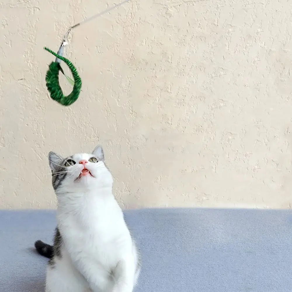 

Set Retractable Exercise Catch Training Toy Kitten Chew Rod Cats Teasing Stick Cat Teaser Wand Pet Supplies