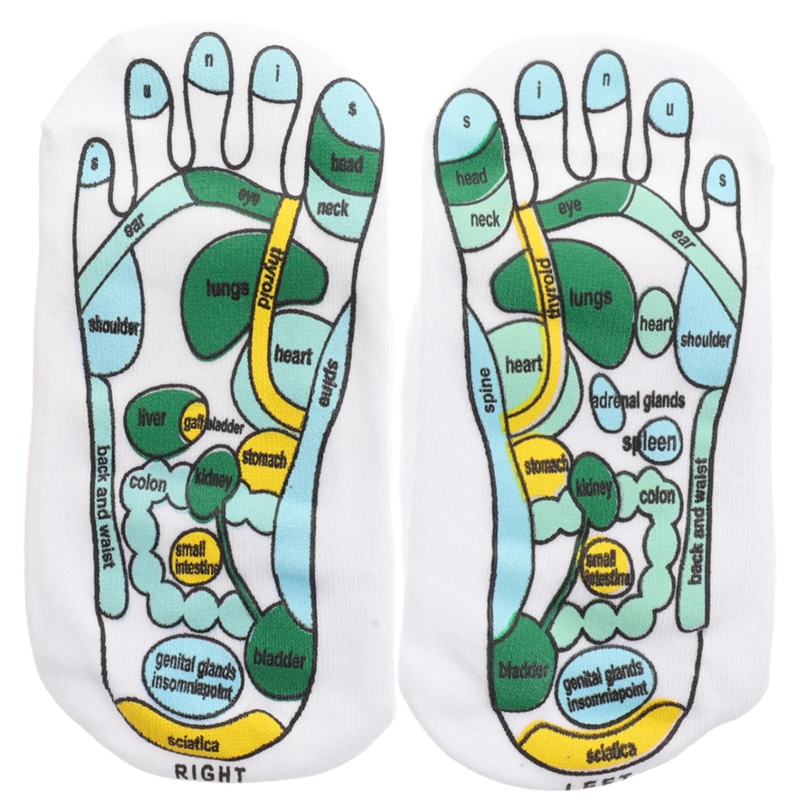 

Home Tools Foot Massage Socks Elastic Fiber Household Acupoint Spandex Acupressure Reflexology Miss