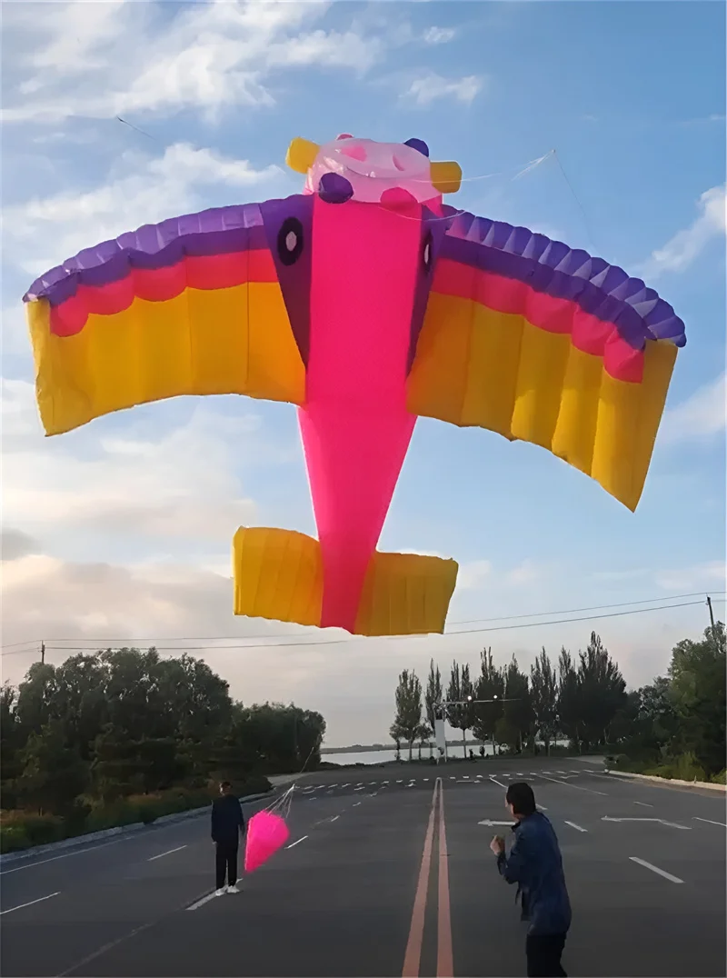 Бесплатная доставка двойная линия самолета воздушный змей ветровая указка