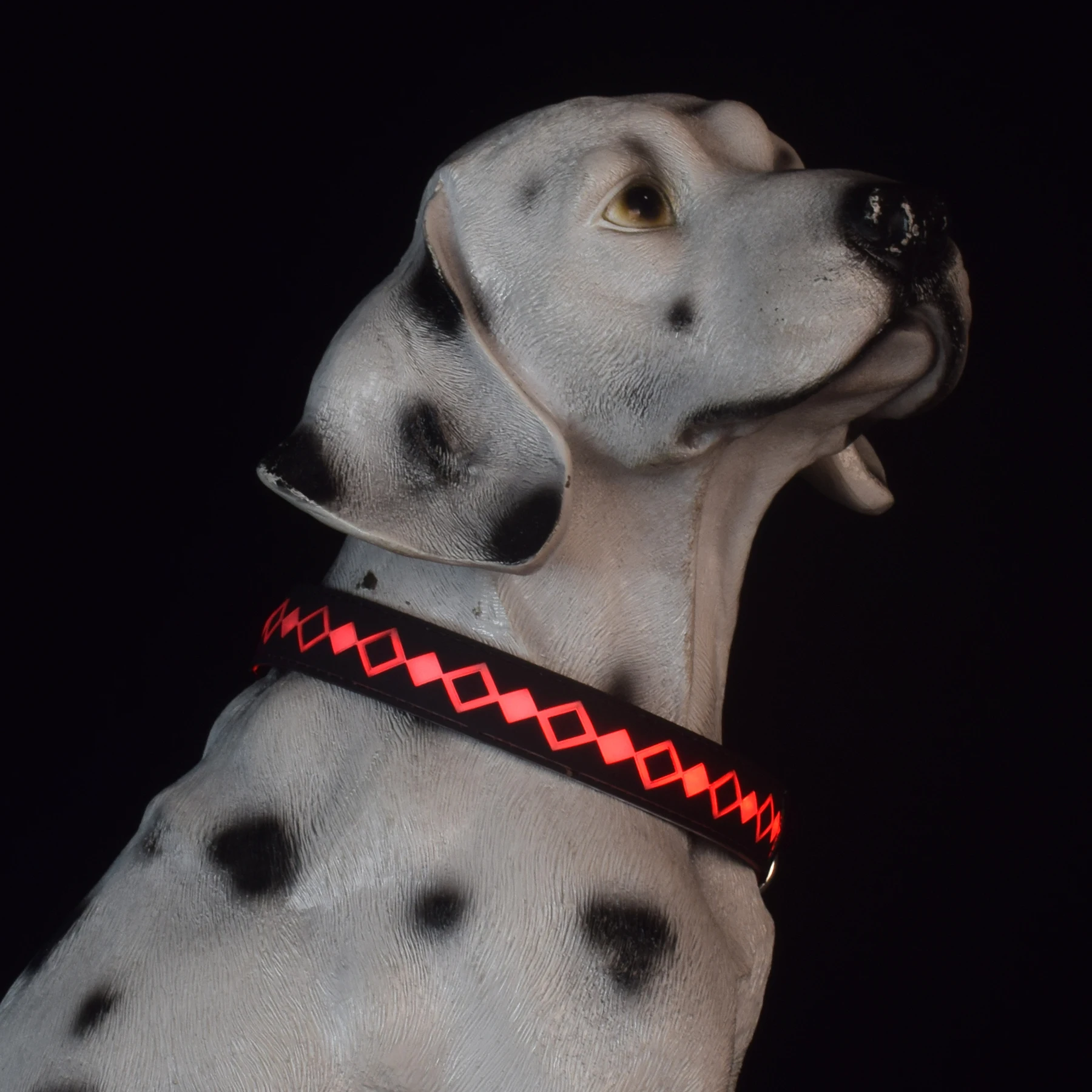 

Adjustable Night Safety Flashing Glowing Pet Collars Usb Rechargeable Glow Light Up Nylon Dog Led Collars