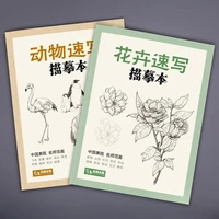 coloring book for adults art animal flower sketches hand painted zero based painting beginners self taught drawings books