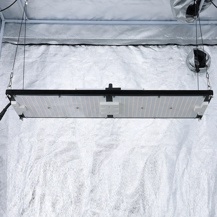 KingBrite 240 Вт LM301H Светодиодный светильник для выращивания растений полного спектра