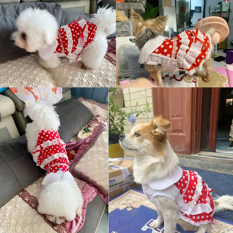 

2022 Dog Dress Lace Small Dog Skirt Summer Pet Dress Pomeranian Teddy Yorkshire Corgi Bichon Shih Tzus Dog Costume Drop Shipping