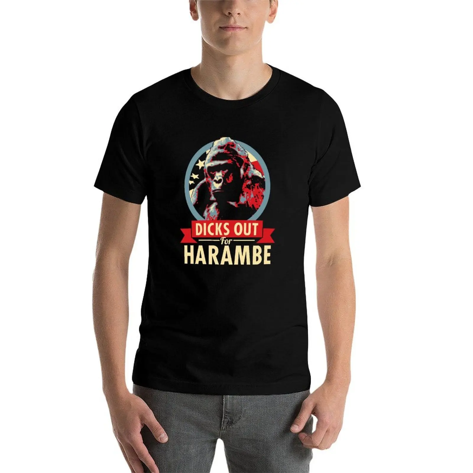 Фото Футболка Hail to the Chimp (Dicks out for Harambe) большого размера, свободного кроя, повседневная. №4