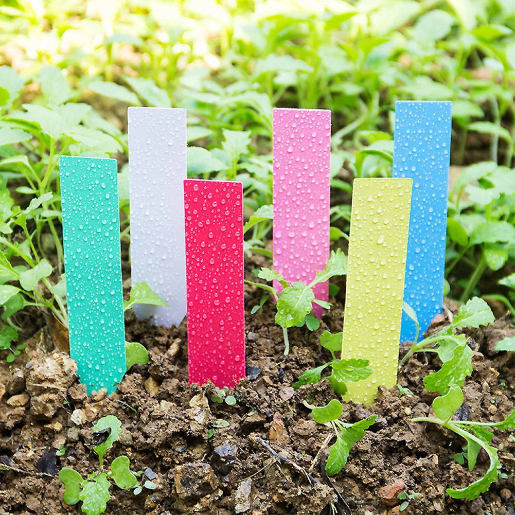 

100 Pcs Garden Waterproof Plant Plastic Labels Nursery Nursery Tray Markers DIY Garden Decoration Tools Planter Landing Labels