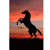 5d diamond painting sunset horse shadow full drill by number kits for adults diy diamond set arts craft decorations a0719