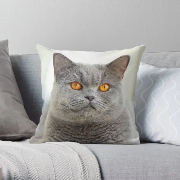 

Grey Cat Throw Pillow Customizable Bedroom Bed Sofa Lumbar Pillow Cushion Fashion Decorative Pillow Not Included