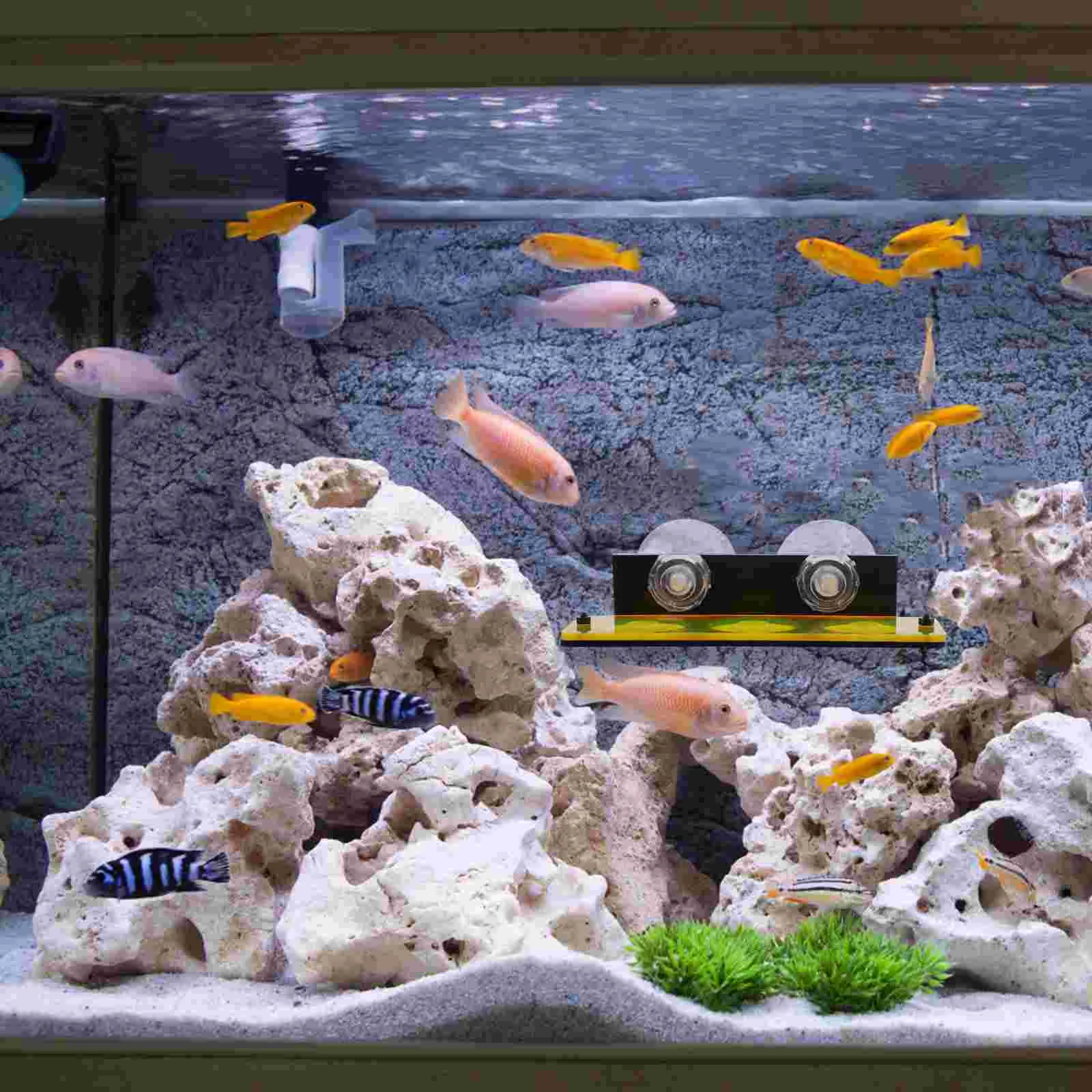 

Suction Cup Coral Rack Acrylic Frag Rack Coral Frag Stand Tile Fish Tank Coral Support Ocean Reefing Frag Rack
