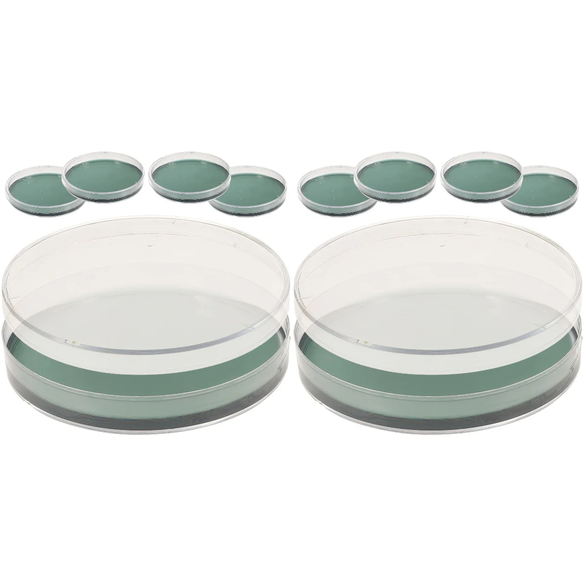 

10 Pcs Toy Kids Nutrient Agar Plate Prepoured Petri Dishes Suite Plates Experiment Child Fairy dishwasher tablet