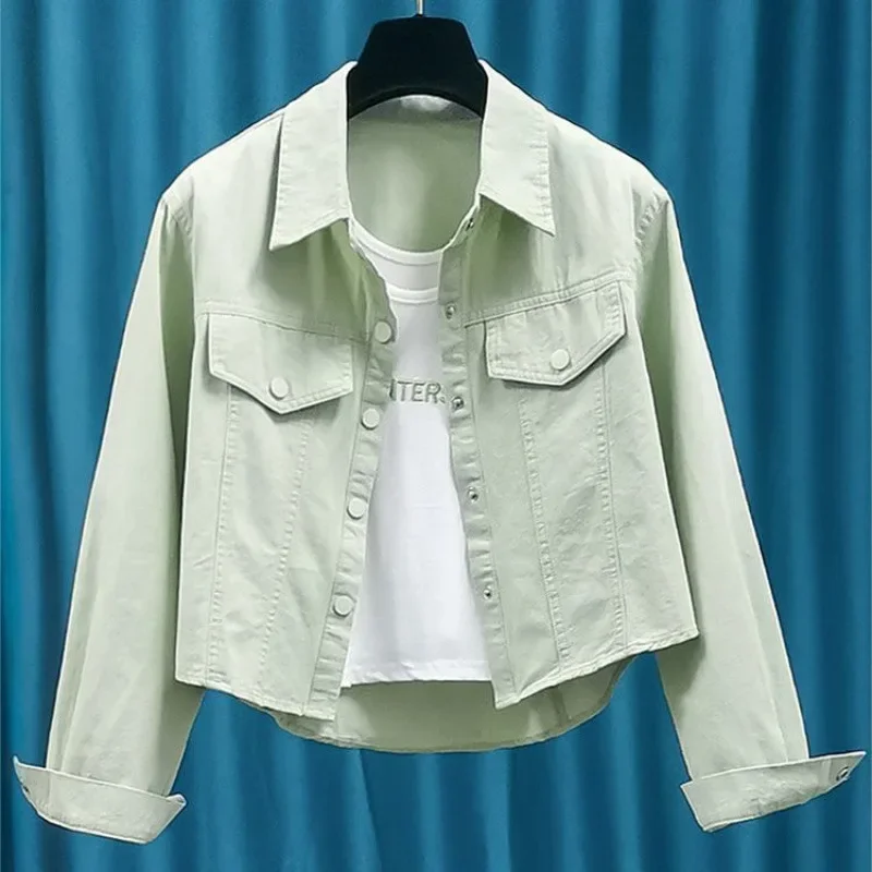 2024 укороченная женская однотонная куртка-рубашка с длинными рукавами