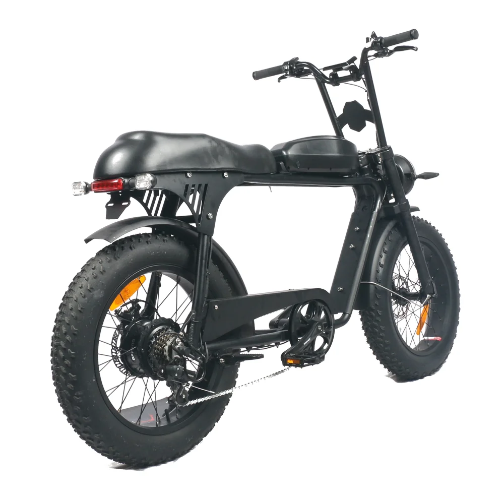 

2020 10.4ah lithium battery super powered 48v 500w HP-E 73 two seat ebike / fat tire 2 seater electric bike with foot rest