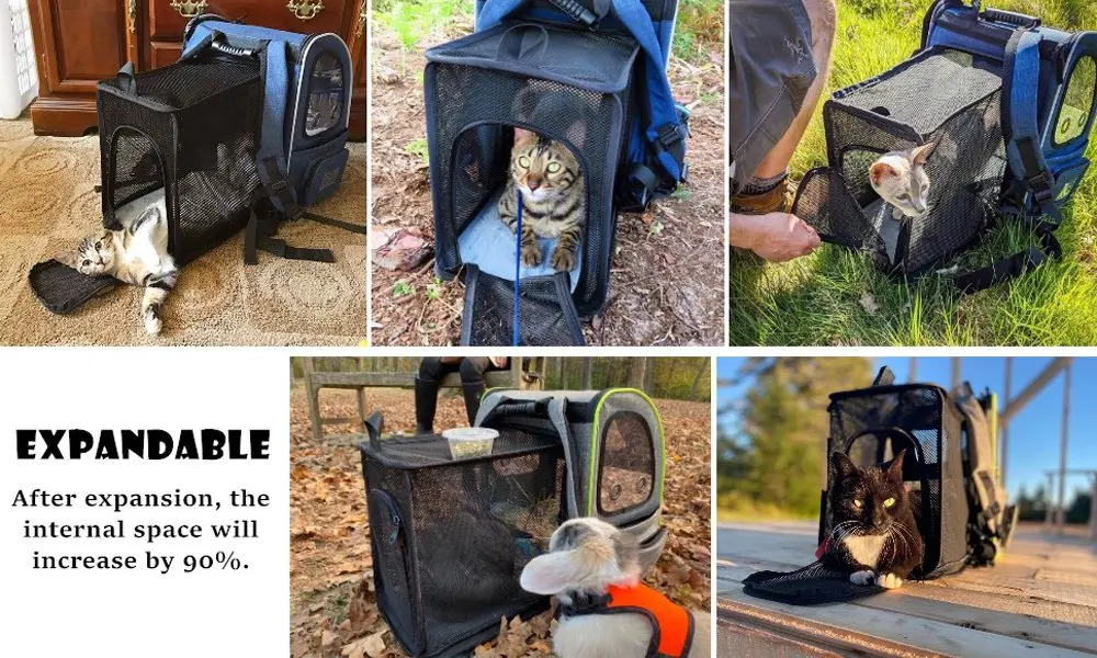 Cat Backpack, Expandable Breathable Pet Carrier Bag, Dog Backpack