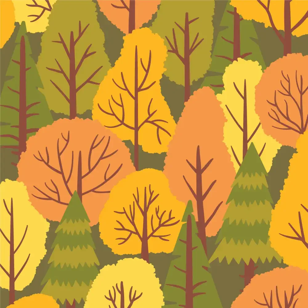 Цвета осени-набор из 6 фотографий 2024 августа для оформления шаблон тиснения