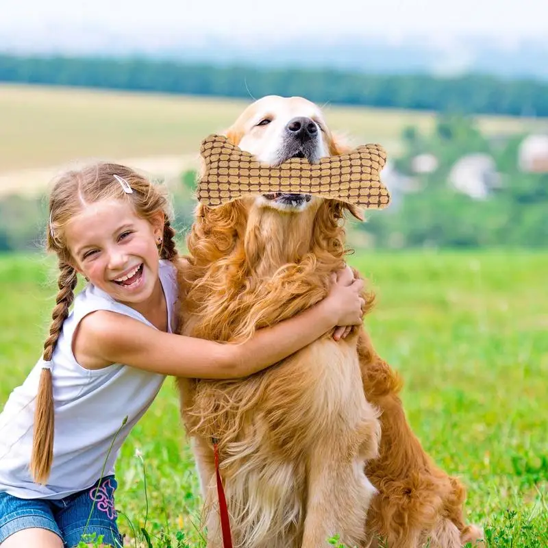 Писклявая плюшевая игрушка для собак мягкая костяная жевательная Функция